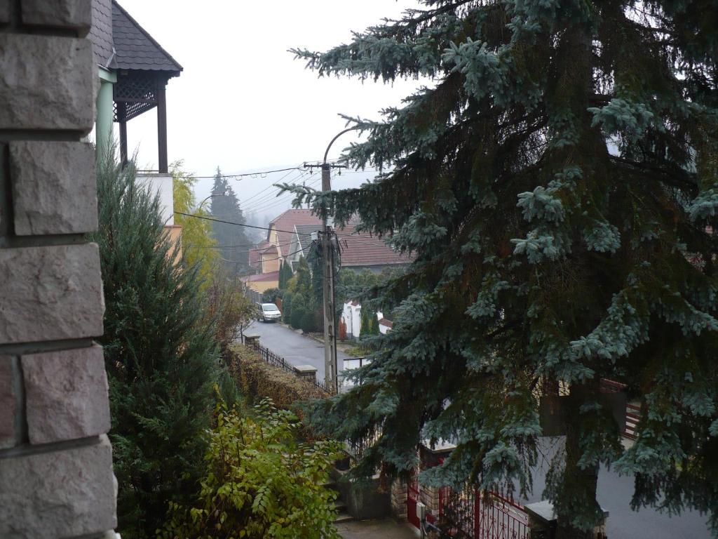 Kitty Apartman Apartment Miskolc Bagian luar foto