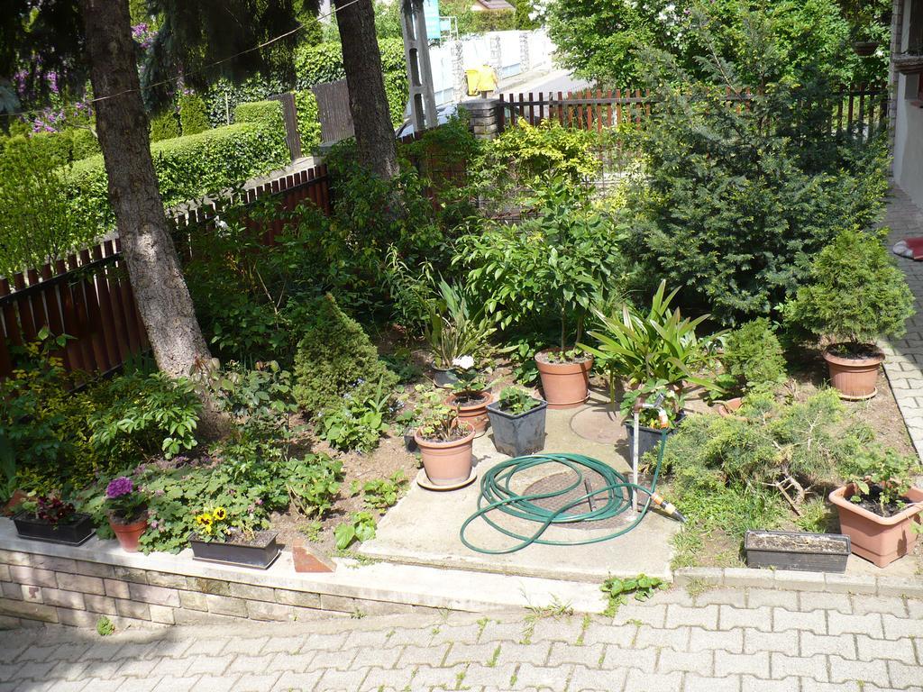 Kitty Apartman Apartment Miskolc Bagian luar foto